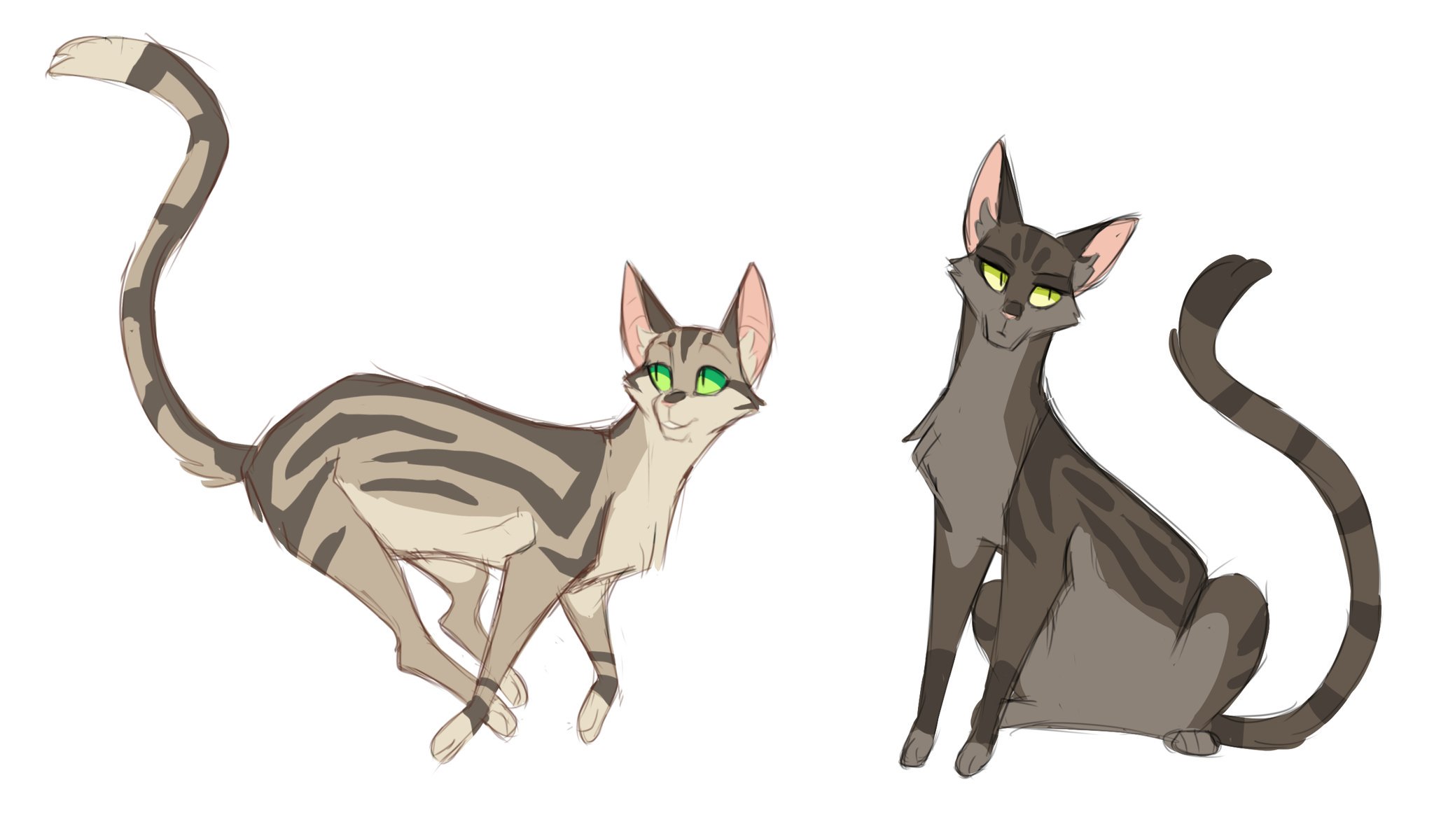 Коты Воители songsteps