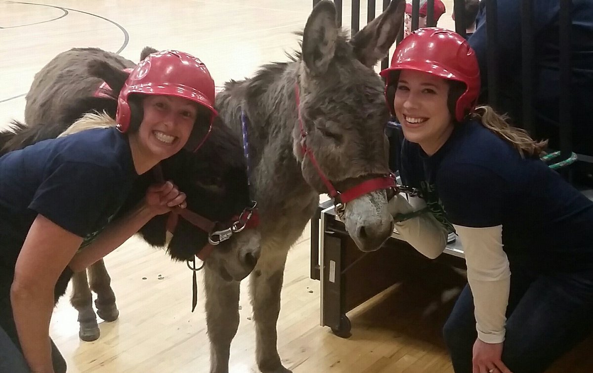 Biking to skiing now... #donkeyball! #PE4life #safetyfirst <a href="/ZMCougars/">ZMCougars</a> @bangert911 <a href="/ZM_AgEd/">ZM Ag Ed</a>