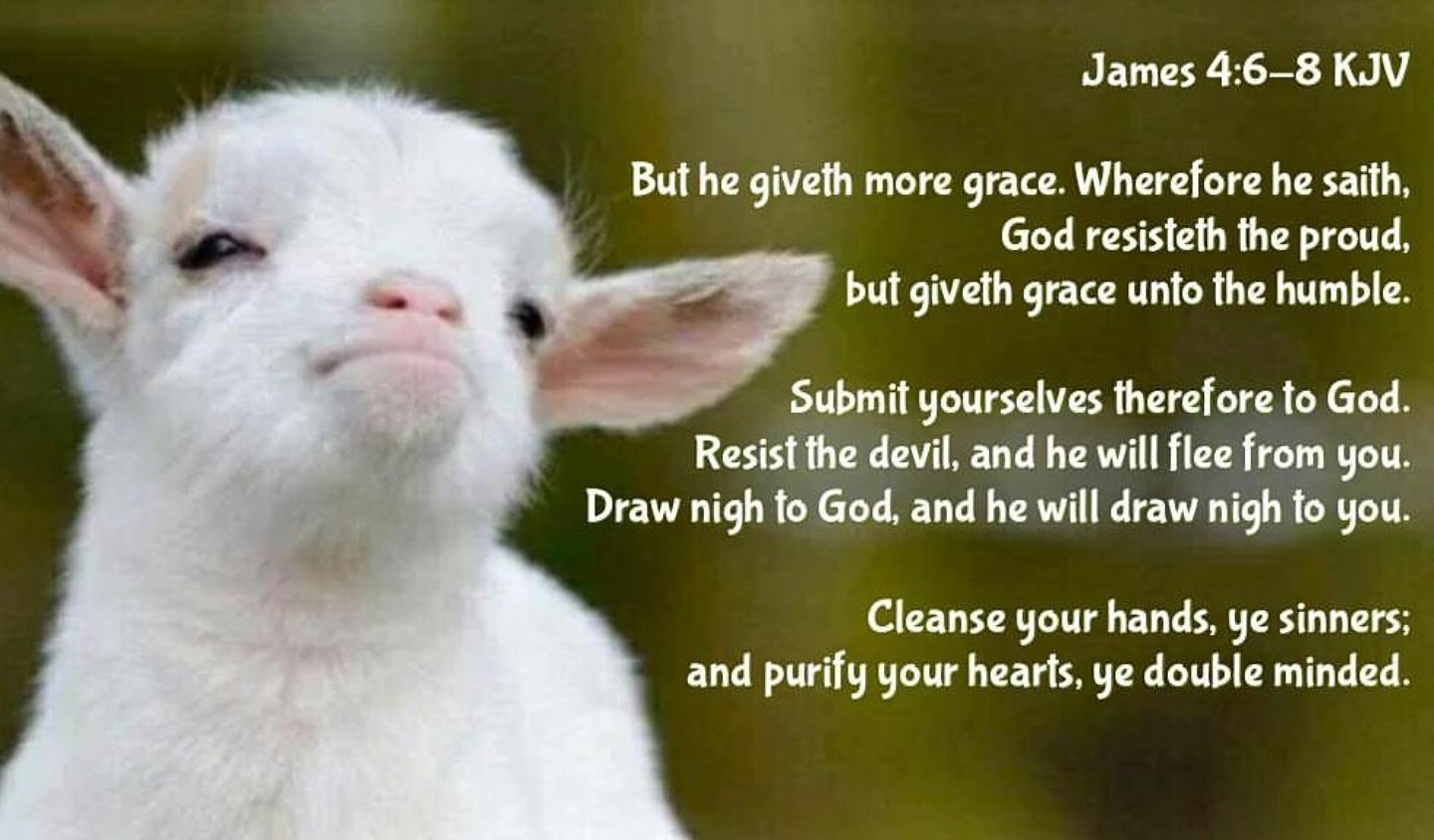 Bible Verses KJV on Twitter: "James 4:7 KJV Submit yourselves therefore to God. Resist the devil, and he will flee from you.…
"