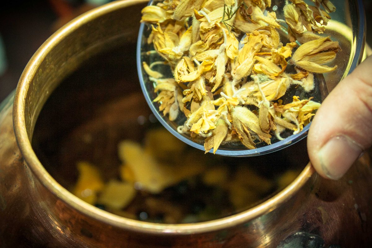 Sneak Peek - Roots Marlborough Dry Gin, Ingredient No.6: Wild Gorse Flower.
 Aromatics of straw, white chocolate and dried banana with a palate of apricot and dried grass - crazy good.
 #ElementalDistillers #RootsDryGin #ComingSoon #NZGin #Marlborough #LubricationSpirits