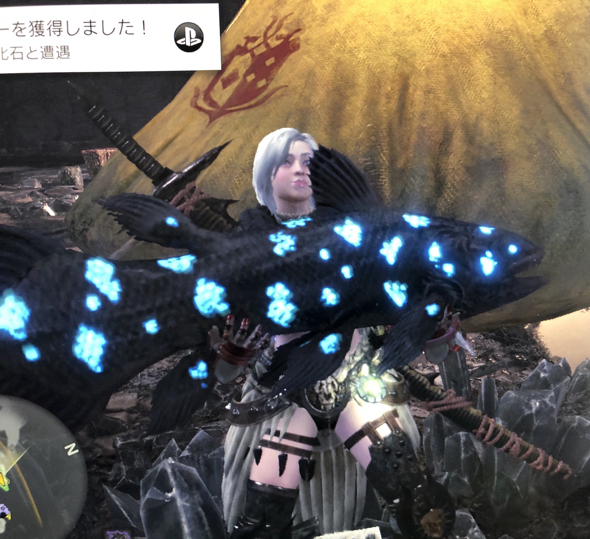 東方不敗 新大陸のヌシことカセキカンス取ったどーーーー Mhw T Co Edyusgbwzr Twitter