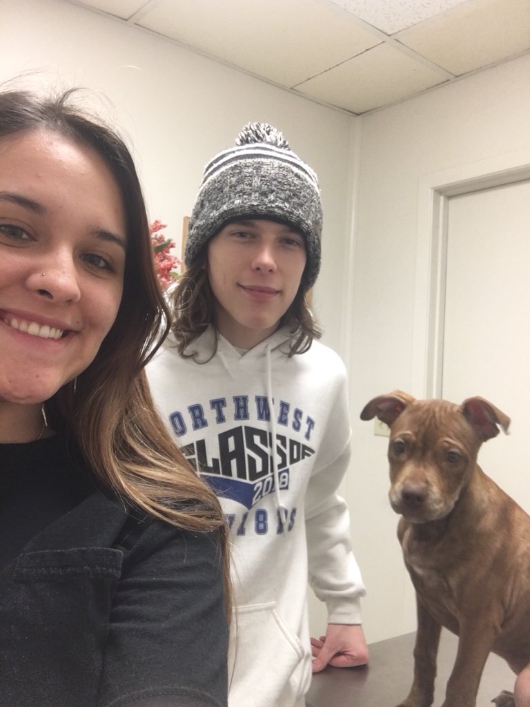 HildebrandAspen's tweet photo. First time at the vet today &amp; she did so well🌟🐶 https://t.co/nX07QuNtXE