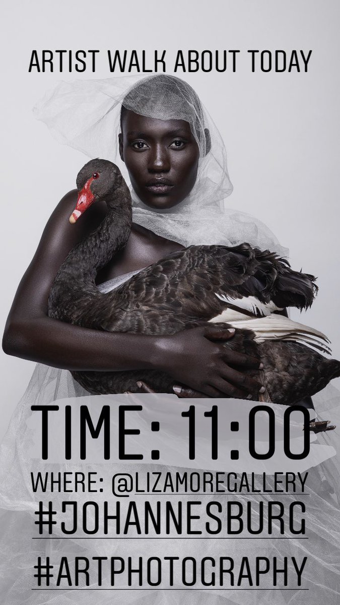 Justin Dingwall (@justindingwall) on Twitter photo 