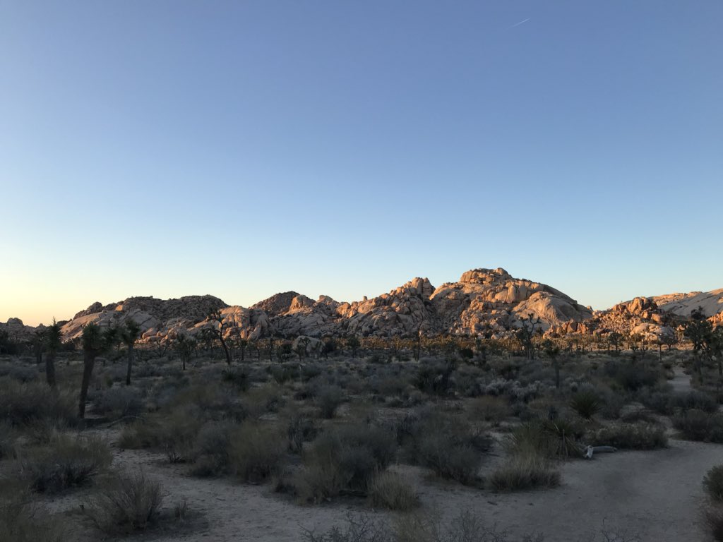 ParadoxofPlace's tweet image. Playing hooky from #ASEH2018