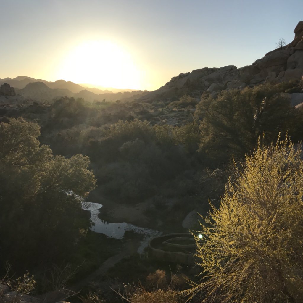 ParadoxofPlace's tweet image. Playing hooky from #ASEH2018