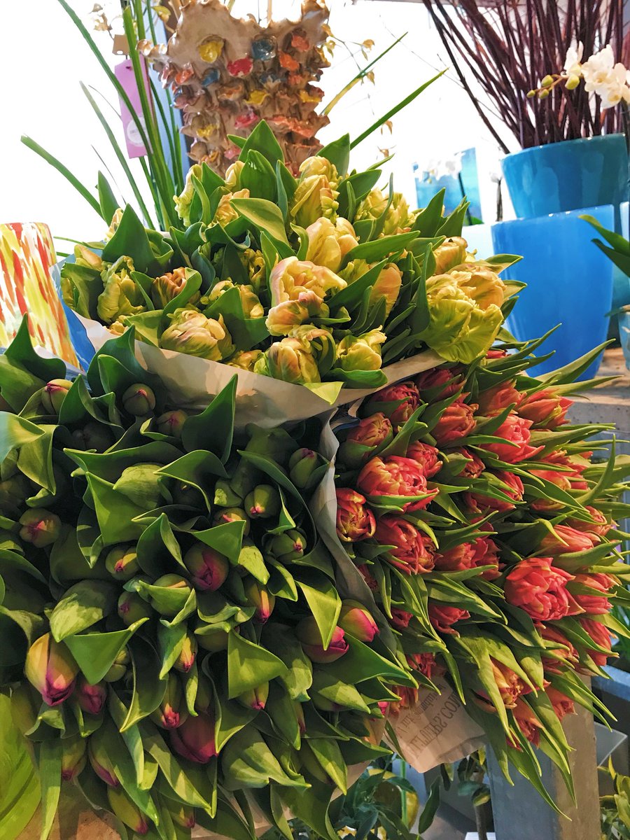 Amsterdam Flowers tweet media