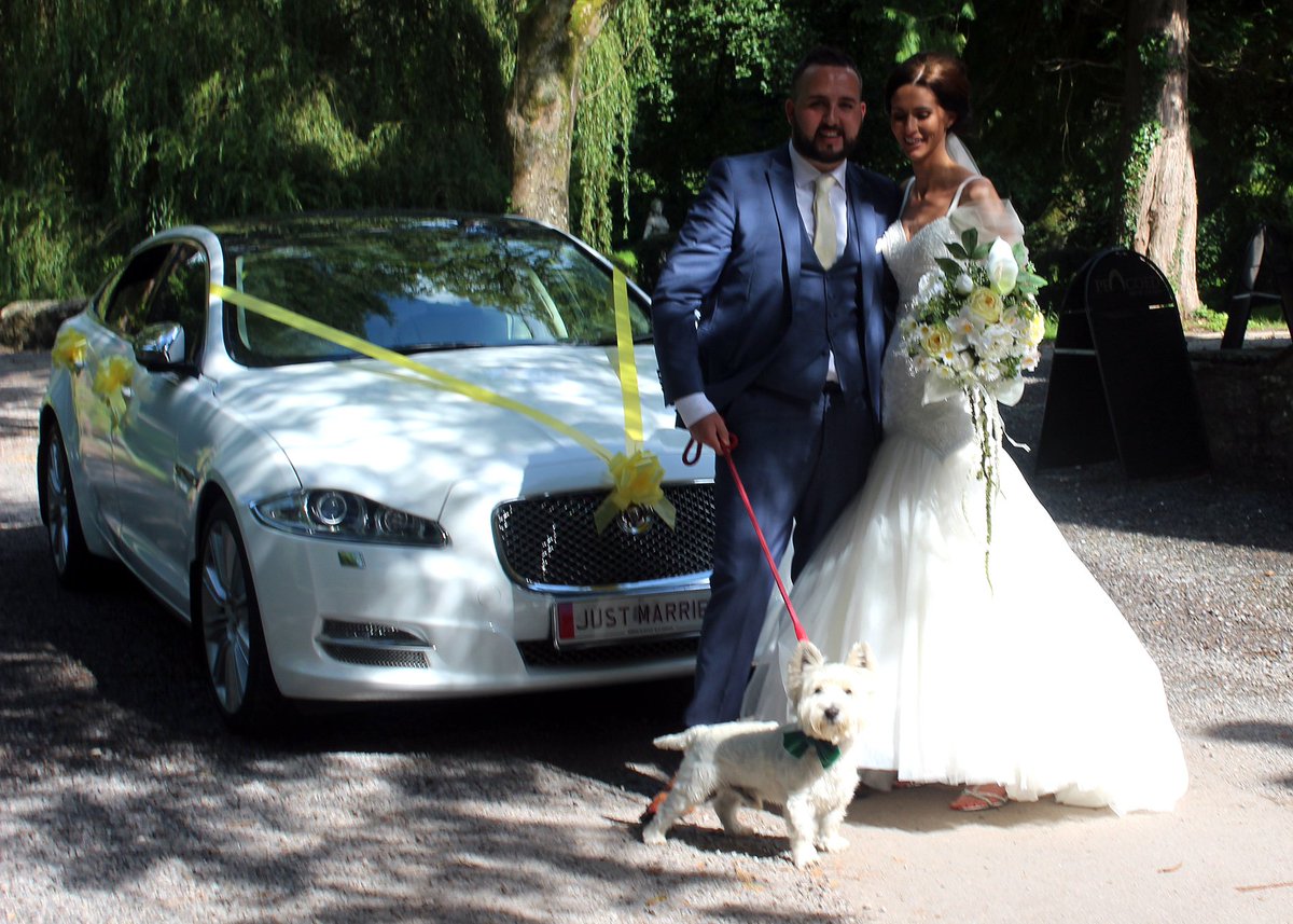 weddingdogsitt1's tweet image. #SaturdayMorning would you like your #dog at your wedding without the #stress? bit.ly/1YZvsiP