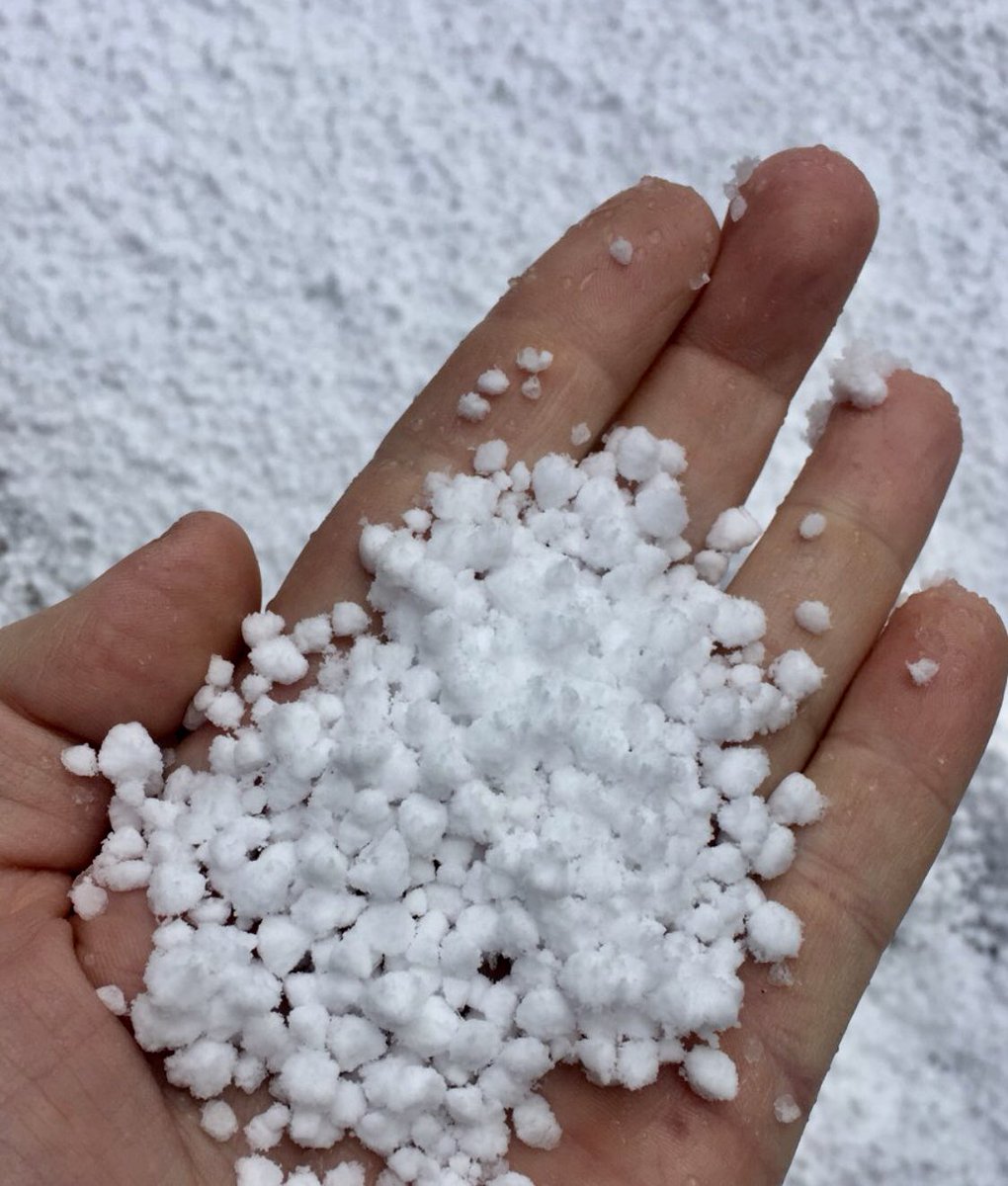 WindyWilson88's tweet image. Saturday SCOTLAND 

Windy says this is how she’s looking just now, with WINTRY SHOWERS up and down that EASTERN coast

You’ll also encounter #Graupel today as well #SnowPellets 

Bitterly bitterly COLD, with strong WINDS. Giving us REAL FEEL temperatures in exposed areas, of -7