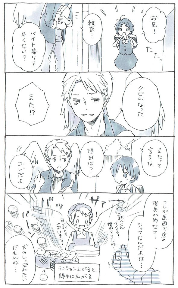 ぼくには翼がある
(大学生兄と中学生妹) 