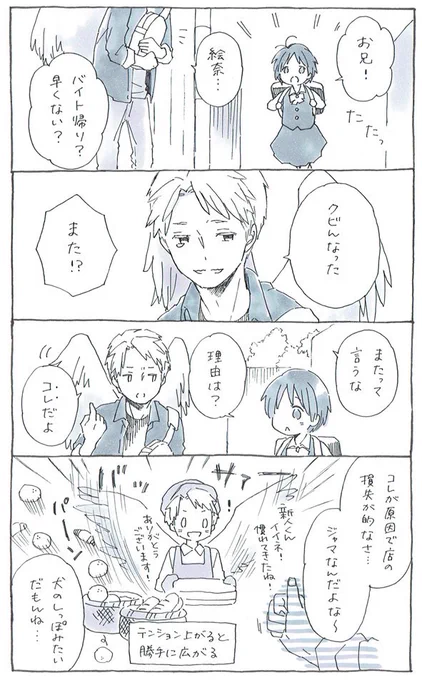 ぼくには翼がある
(大学生兄と中学生妹) 