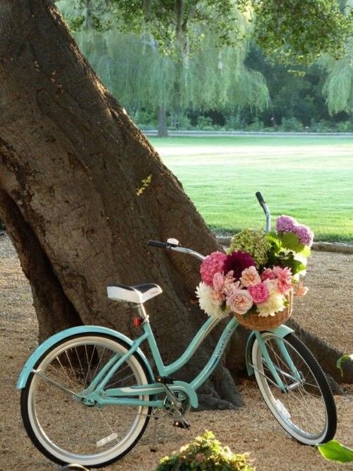 Derick_Cape's tweet photo. Love is all around...🌸 https://t.co/WuzaNN4oqe