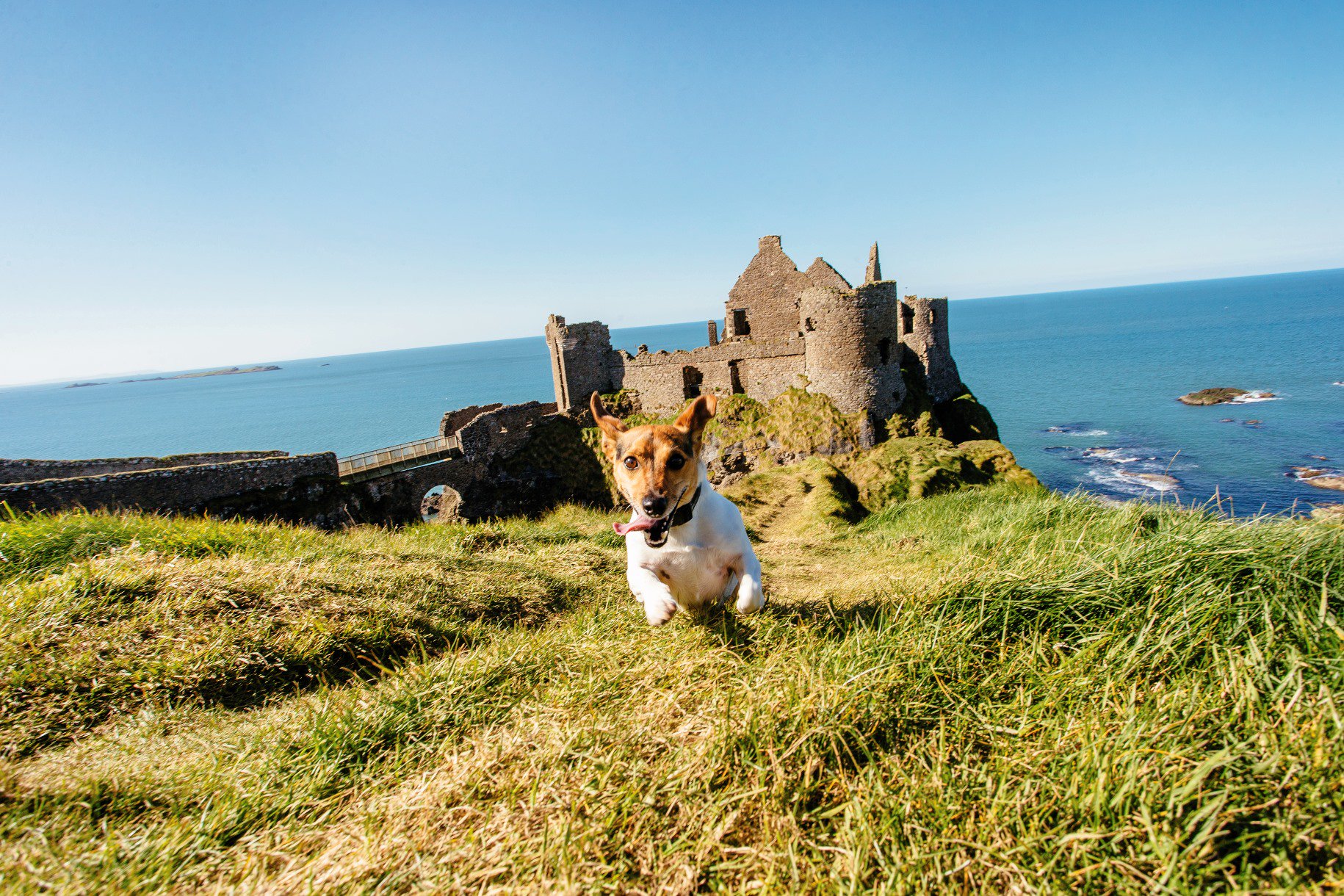 Uk In Japan Stpatricksday 北アイルランド のコーズウエー海岸にある中世の古城 ダンルース城 は かつては天然の地形を巧みに利用した難攻不落の要塞でした ウィンストン チャーチル元首相が保有していたこともあるとか T Co Uk In Japan Stpatricksday 北アイルランド のコーズウエー海岸にある中世の古城 ダンルース城 は かつては天然の地形を巧みに利用した難攻不落の要塞でした ウィンストン チャーチル元首相が保有していたこともあるとか T Co