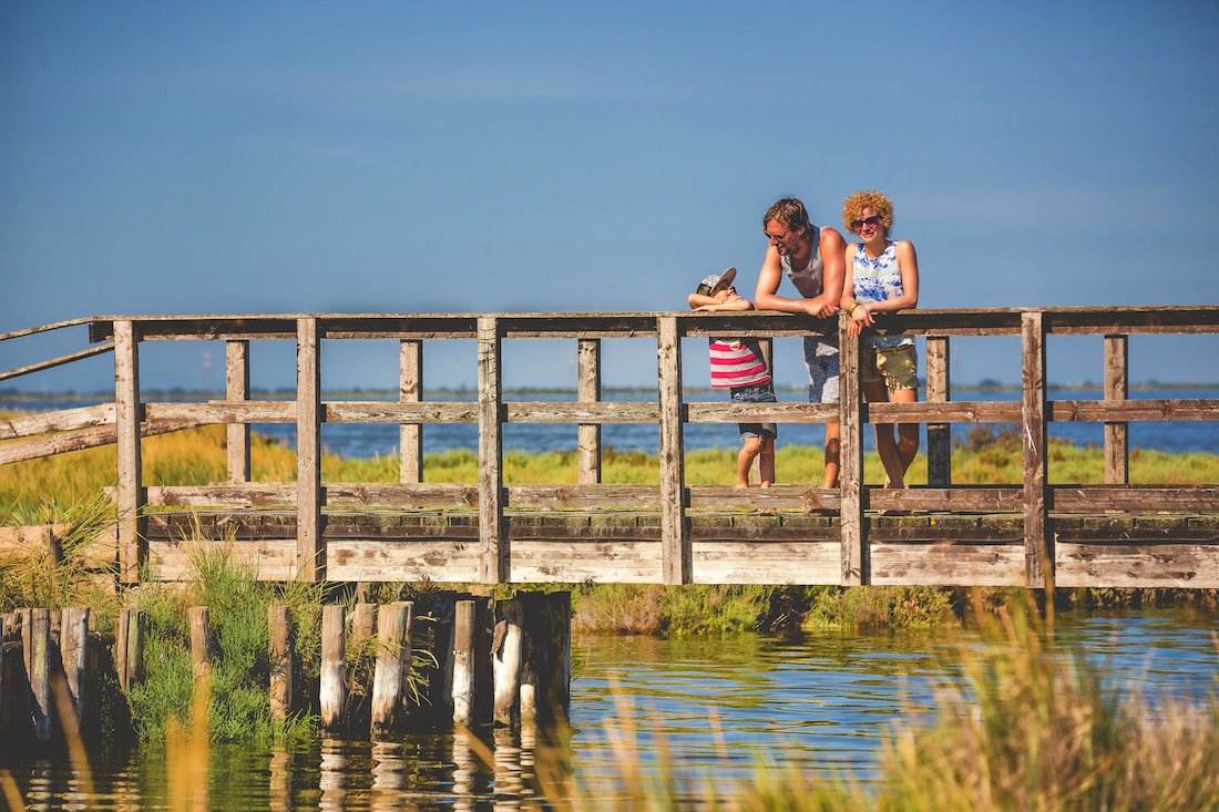 Viaggixbambini's tweet photo. Al via oggi #Primaveraslow: 14 settimane con oltre 1000 escursioni ed eventi alla scoperta del Parco del Delta del Po. Panorami bellissimi, una natura da scoprire coi #bambini coi ritmi lenti che più ci piacciono e anche i fenicotteri rosa! 
@primaveraslow https://t.co/k0ENhaAy2Z https://t.co/U7F9iQ82CQ