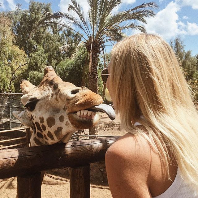 Travelplanet.pl tweet media