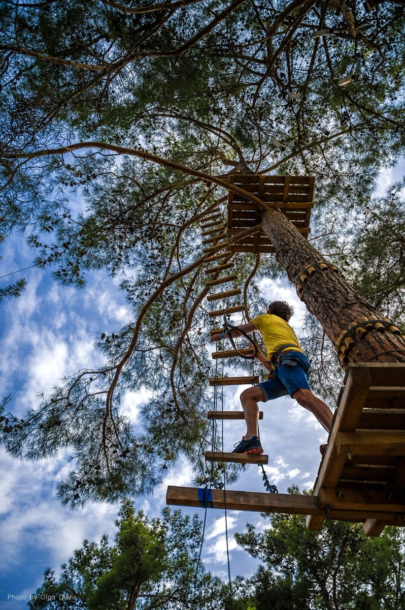 Cyprus_Park's tweet photo. Today evening we will open bungy jump and speed zip line 60 km per hour, and all adult lines now can be passed by kids. 🤸‍♀️🤸‍♂️We completely rebuild the rope park. https://t.co/wW8KvmvmXA
