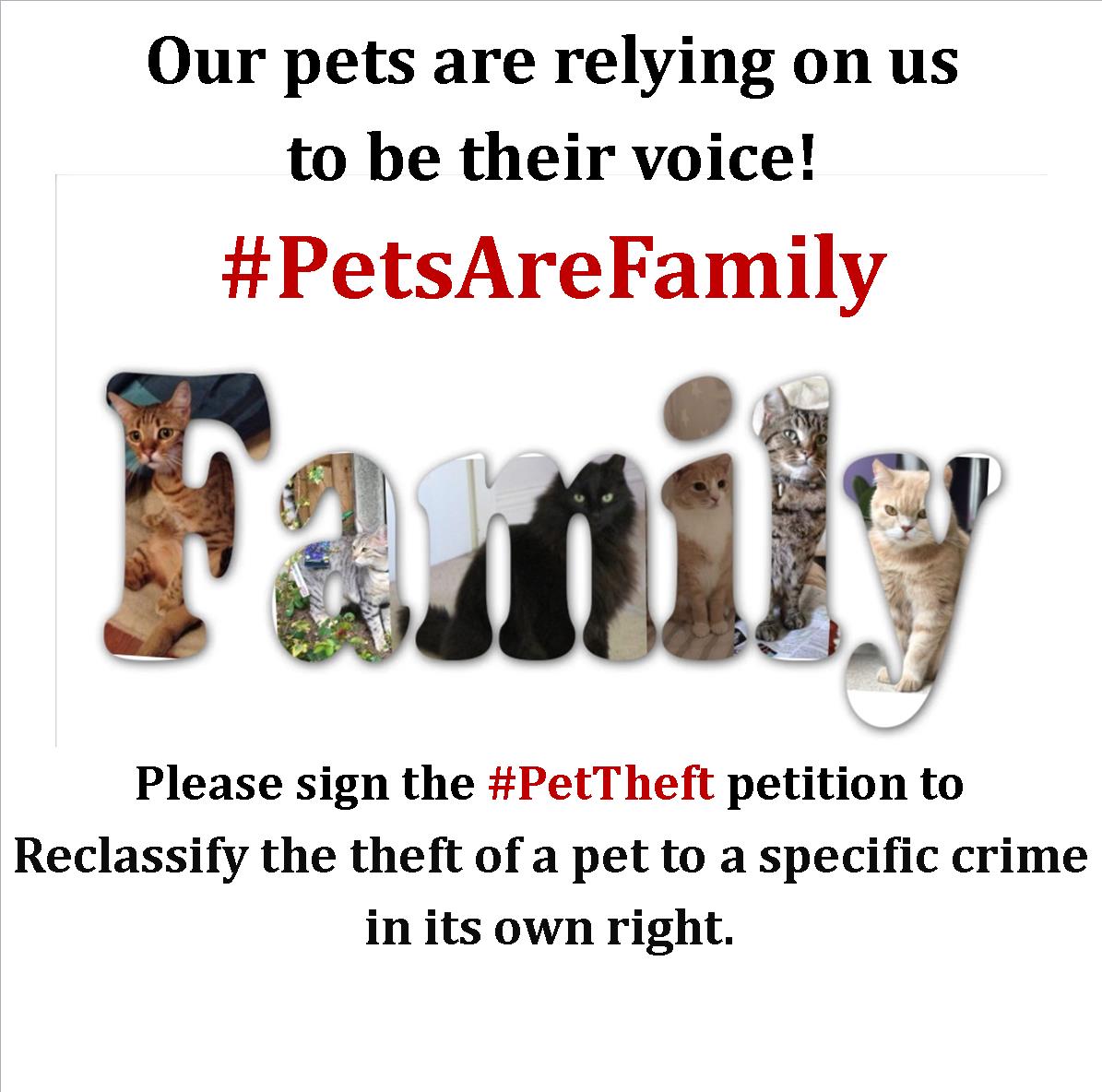 CatsMissing's tweet photo. On #MissingCatsDay💔&amp; everyday 
PLEASE, RT for #MissingCatsUK &amp; #FoundCatsUK
HELP US FIND OUR WAY HOME🐾💞🐈🏡🐈💞🐾
#AllPetsMatter #CatsAreFamilyToo
PLEASE, #ScanMe &amp; #CheckThatChip
PLEASE, Sign #PetTheftPetition Petition▶
https://t.co/QKeeqCfxri
Because #MissingNeverHeals💔 https://t.co/N72PWRLADa