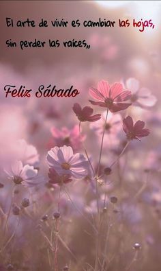 SisuMisu3's tweet photo. Cambia lo que quieras de ti,
pero no cambies tus raices.

#BuenosDias
#BuenosDiasMundo
#FelizSabado ☔ 🌧️ https://t.co/wgyJwel22I
