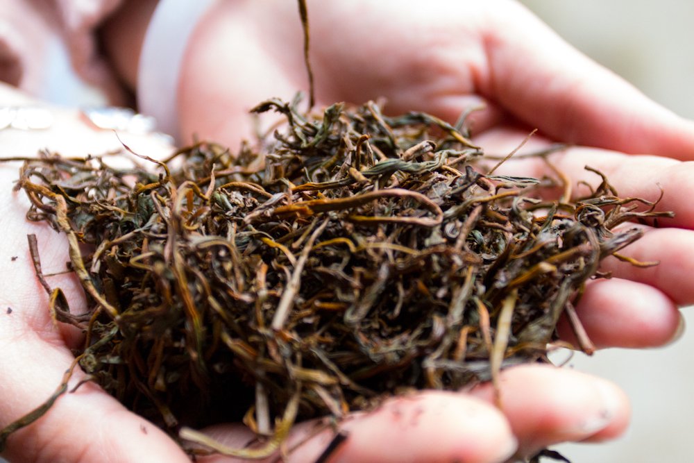 jkteashop's tweet photo. Keemun black tea!
😘😘
https://t.co/X1KjKwRHMh
#blacktea #teaparty #teatime https://t.co/XJcWwTDZf2