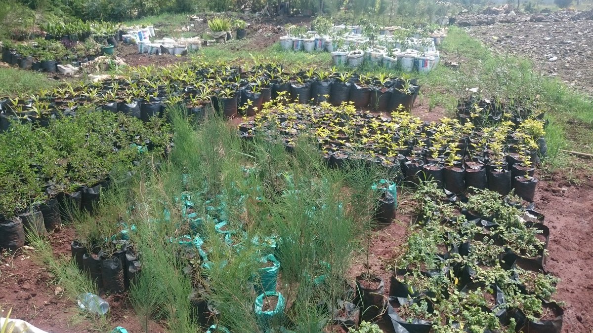 ctfkagz's tweet photo. Ready to plant my #Rotaract50 trees with @GreenRID9212 #IAmRotaract #WorldRotaractWeek https://t.co/YhUBKU8igl