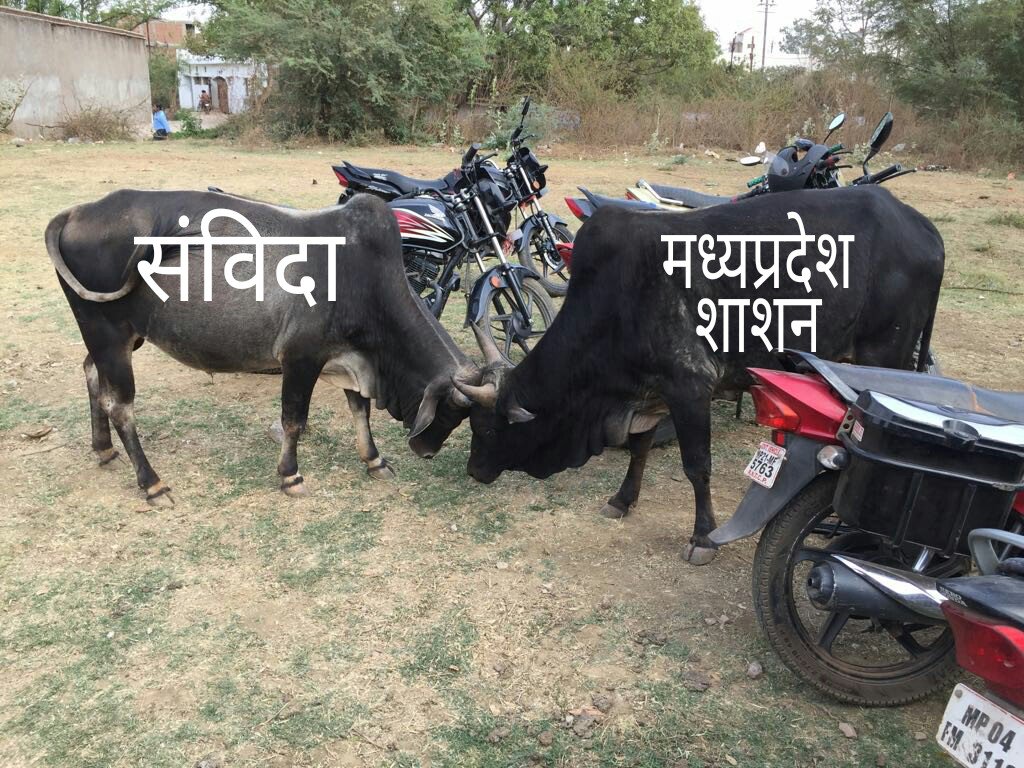 AakashS59222366's tweet photo. #wrongfulHM_PShealth 
@ChouhanShivraj 
@narendramodi 
@AmitShah 
@mohan_bhagwat_ https://t.co/0NroiEE72y