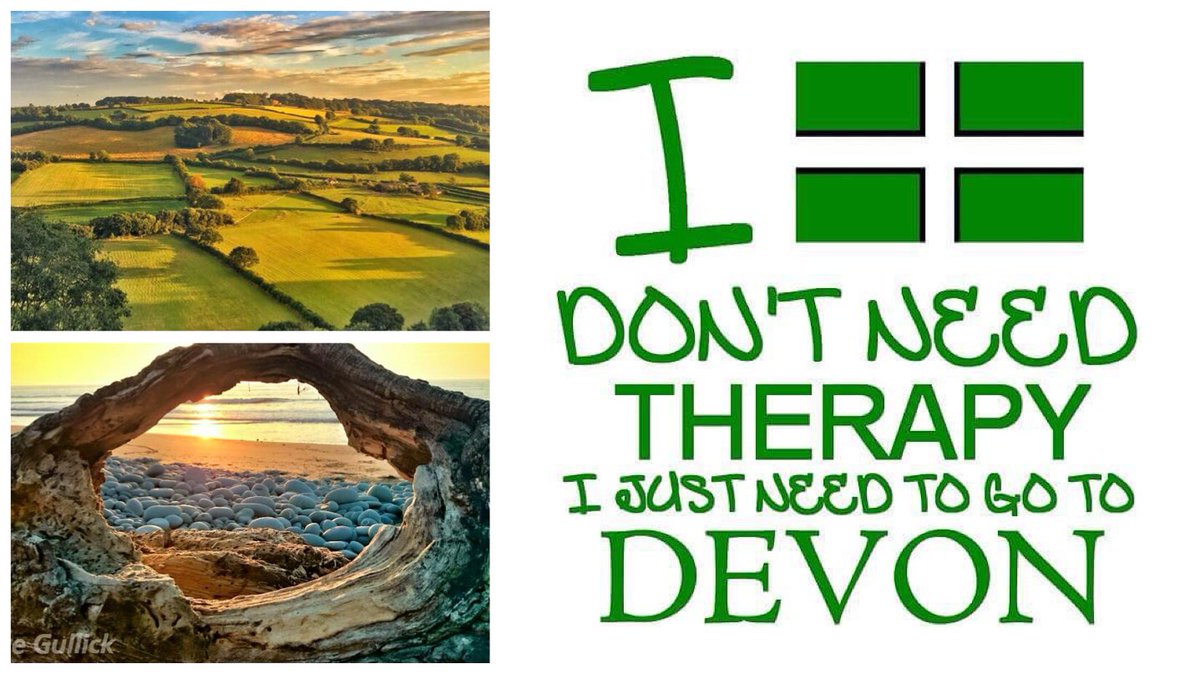Devon Days #LoveDevon tweet media
