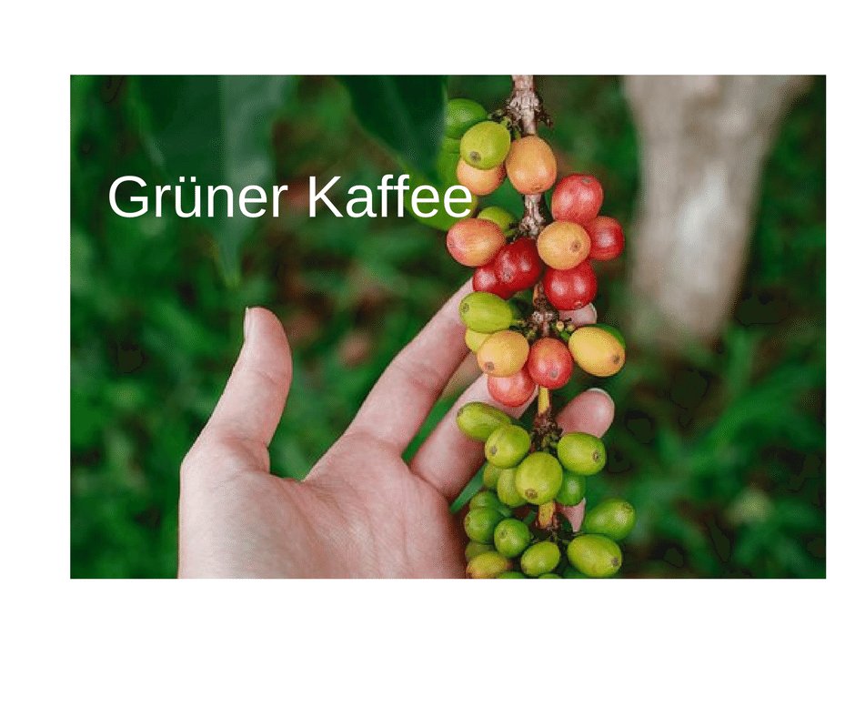 📌Gewicht reduzieren mit Grünem Kaffee📌
gesundes-wohlbefinden.ch

Versuche es und du bist begeistert!
#gesund #grün #kaffee #hajoona