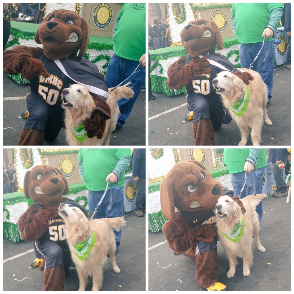 Let's Go 'Trievers!
#UMBC #RetrieverNation #UMBCProud #StPatricksDay2018