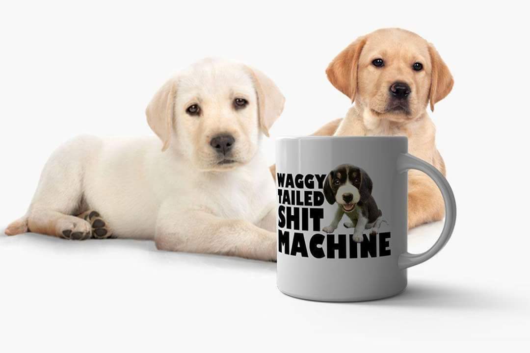 malcolmpowder3's tweet image. 