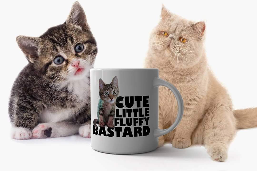 malcolmpowder3's tweet image. 