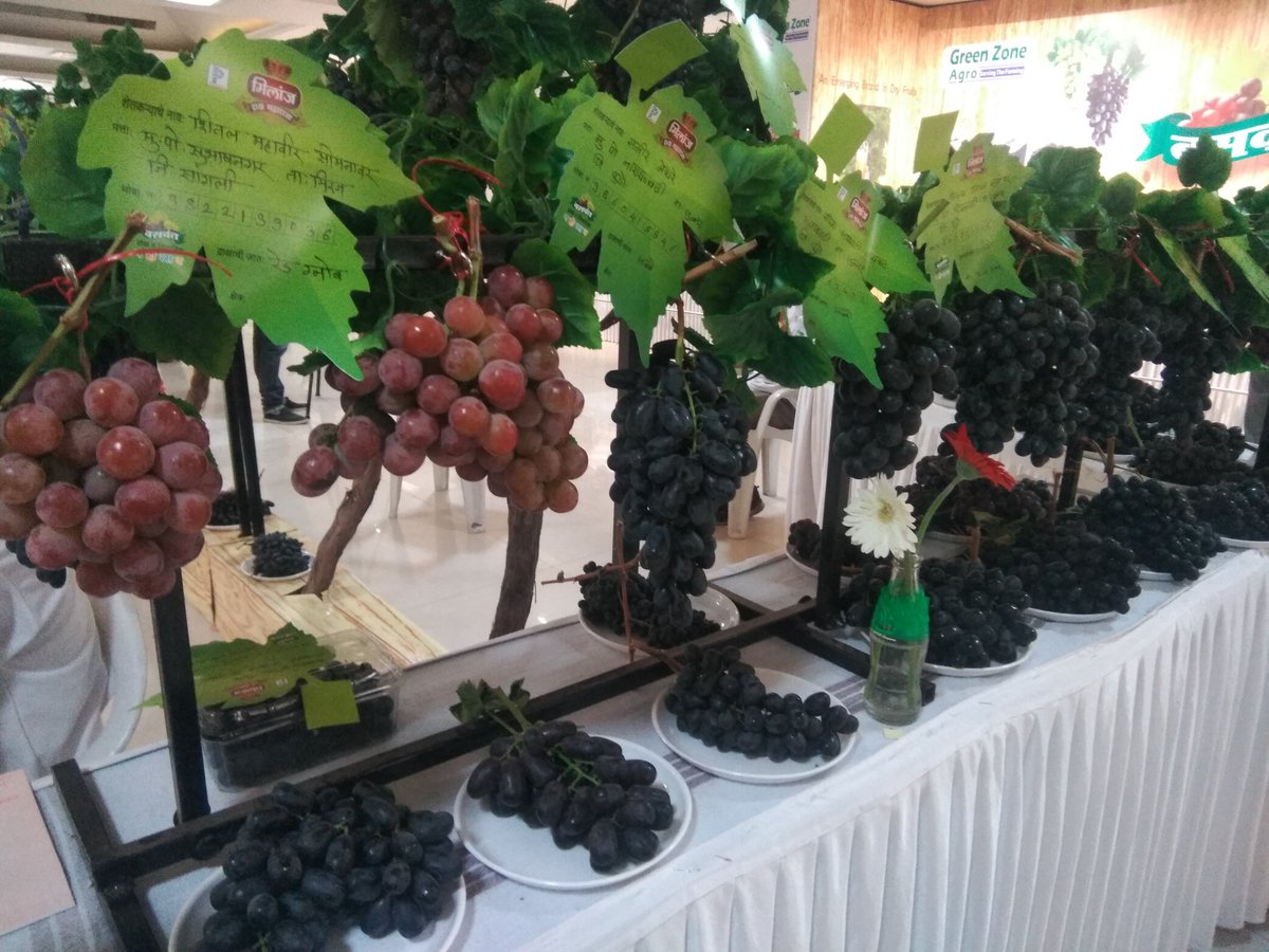 BaswantRaisins's tweet photo. Welcome #pune , #baswant #grapes & #raisins Exhibition at #balgandharva kalamandir from 17 - 20 March 2018, #enjoy #weekend with #family n #kids https://t.co/C56pzc9nsC