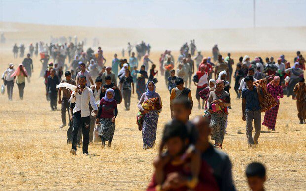 D_abdulkader's tweet image. - Kurds fled from Saddam in 1991
- Yezidi Kurds fled from ISIS in 2014
- Kirkuki Kurds fled from Shiite militias in 2017
- Kurds in Afrin flee from Turkey and its al Qaeda allies in 2018
#TwitterKurds