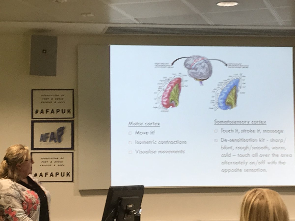 SprintPhysio's tweet photo. Letβs not forget the importance of cross over when training the opposite side. Part of 1 of post ESSKA surgical stabilisation protocol presented by Noelene Davey #AFAPUK https://t.co/gbQLtQf7EH