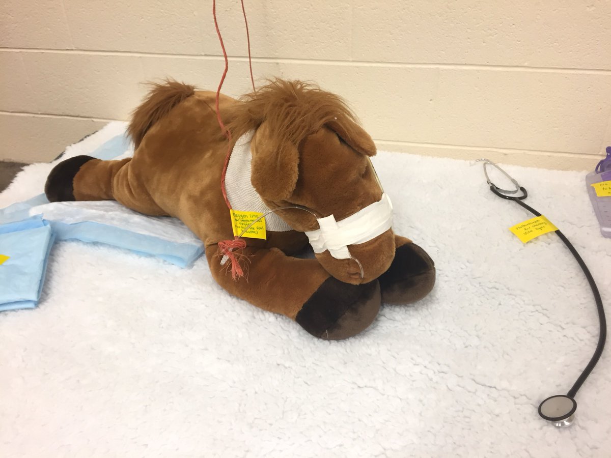 AmyW_DVMstudent's tweet photo. @OntVetCollege’s Foal Watch team is at @CollegeRoyal this weekend! Stop by to learn about our program, learn how to feed Fionn (our “foal”), and dress up like a Foal Watcher! New this year: @EquineGuelph’s incredible Tree of Life display! 🍀🐴 More info: https://t.co/sJOmTGgur9 https://t.co/SDVhoacY4g