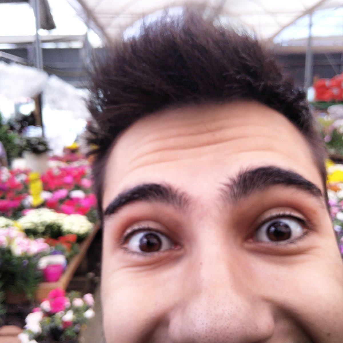 igorbbaracal's tweet image. Todo dia um tema diferente. O teme de hoje foi: flores! Só que esse mané entrou na frente da foto!!! #SabadoDetremuraSDV