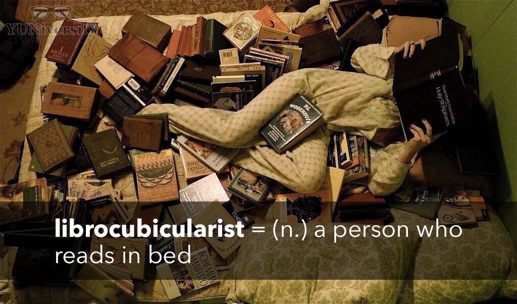 Librocubicularist [lih-bro-KYOO-bih-kyoo-luh-rist] (n.) a person who reads in bed 🛌🏻📚 #vocabulary #coolword