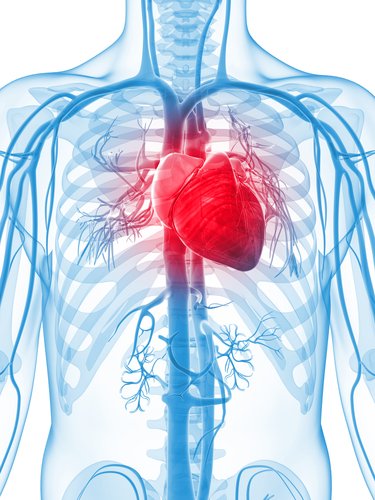 msdsalute's tweet photo. #AcidiGrassi #Omega3: nessun beneficio #cardiovascolare https://t.co/7r5TbKmRit https://t.co/F8MqjRxwyY