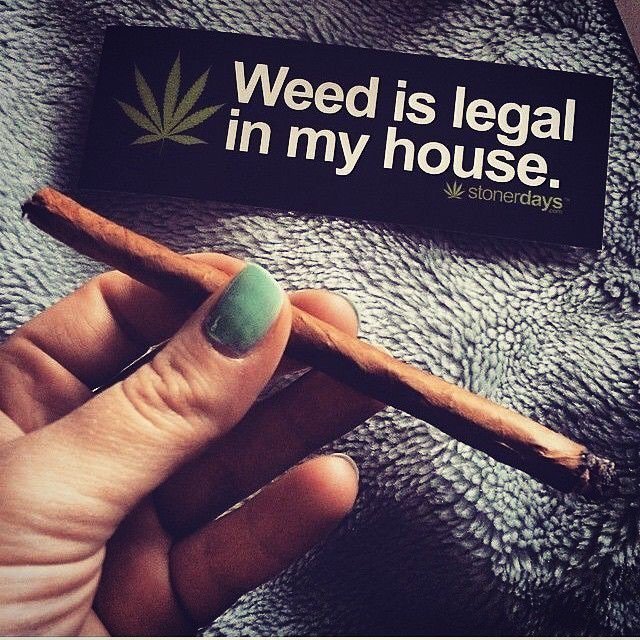 Weed_Lex's tweet photo. Is it legal in your house? 🏠
#herb #pot #bud #baked #reefer #herblife #stoned #blunt #sativa #ganja #potporn #weedlex #blaze #joint #pothead #kush https://t.co/EPrJ1joNwz