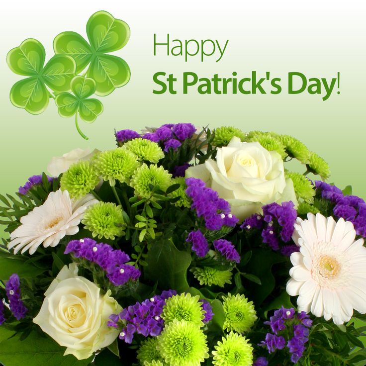 Happy St Patrick’s Day! Send flowers to your lucky charm. #stpatricksdayflowers #luckycharm