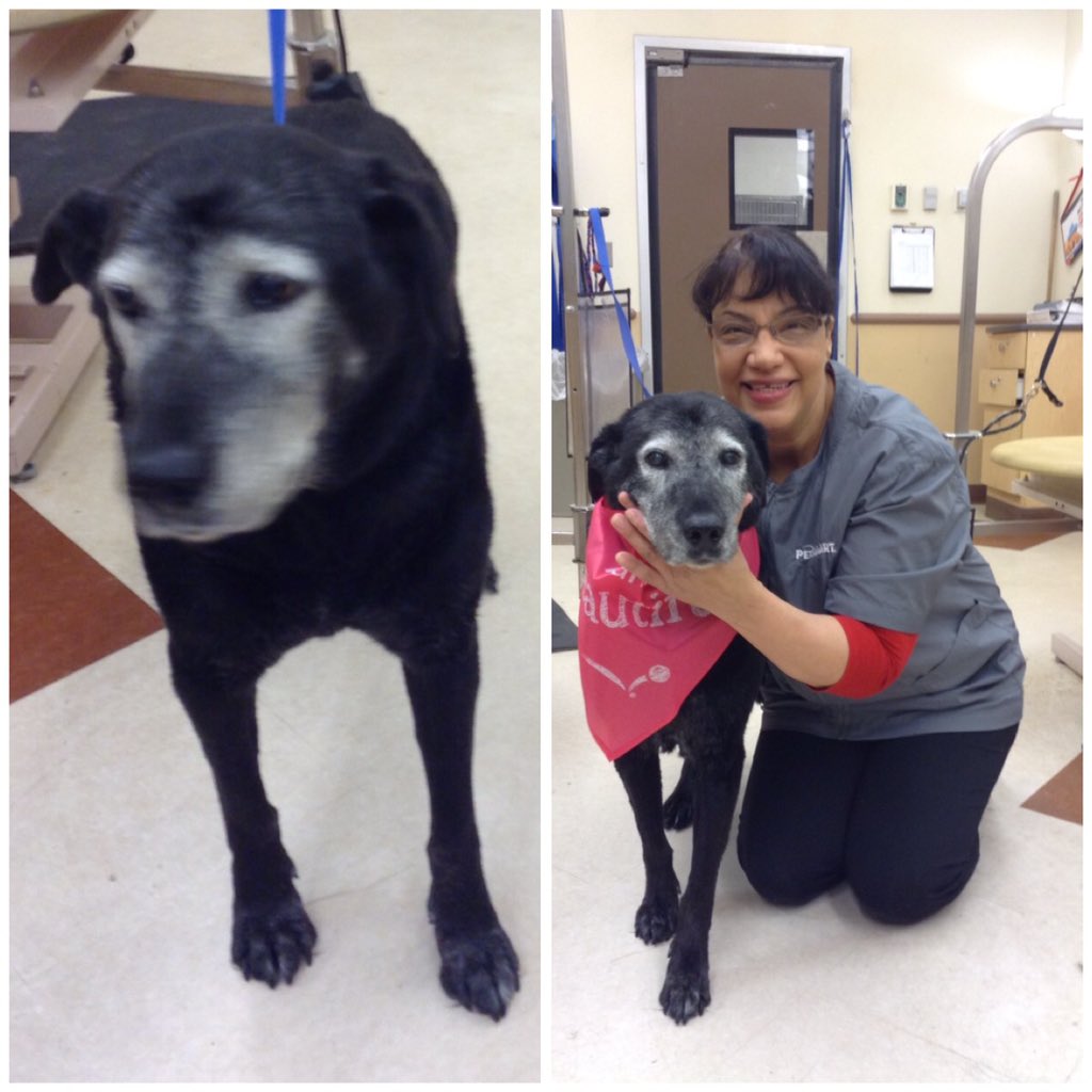 Store #1867 #nyc stylist: Joanne Rivera-brooks category: furmintor bath. #PetSmart #petsmrtgrooming #northeastgrooming