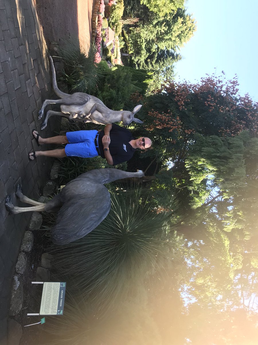 Where is the kiwi bird? <a href="/Pete_Karam/">Peter Karam</a>