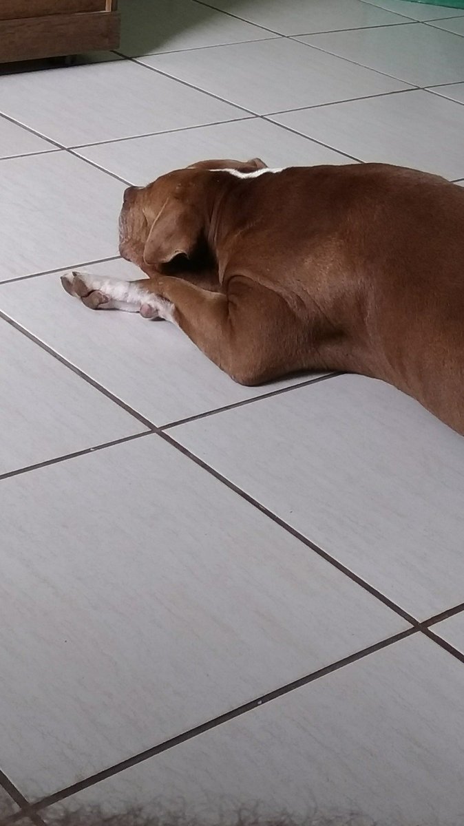 adalbertofeito's tweet photo. Tem futuro.... (@ Casa Daóra in São Paulo) https://t.co/sSSOSsgnG3 https://t.co/sPerlAMNaH