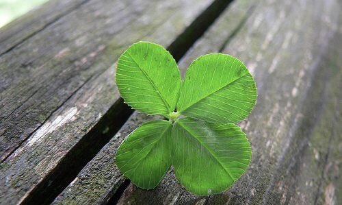 justhomesgroup's tweet photo. #StPatricksDay2018 May the luck of the Irish be always with you!!! #juliahurleygroup #realtor #lenoircity #knoxville #leadloco https://t.co/2PlhfOcfOj