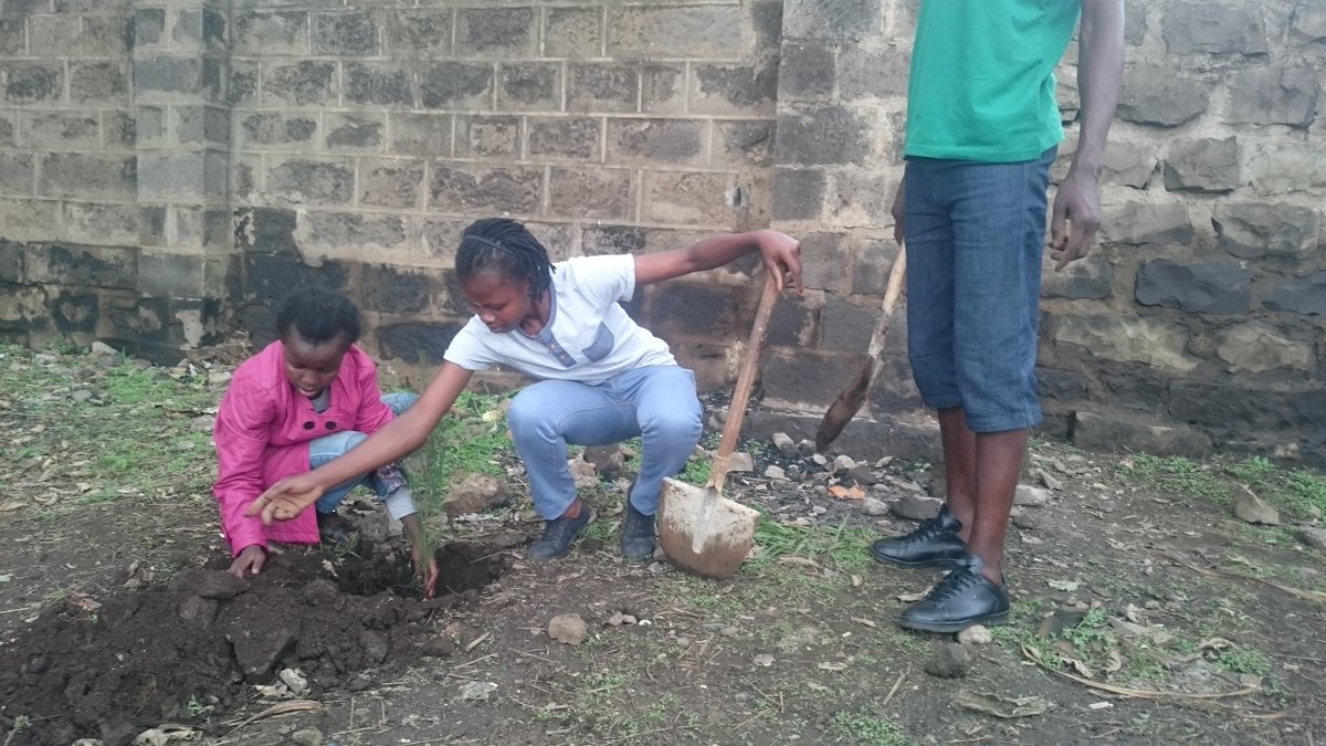 ctfkagz's tweet photo. #Rotaract50 trees with @GreenRID9212 @RotaractKarura @RCTmashariki @RctMilimani @Rotaract_TUK #IAmRotaract and it's raining ☔ https://t.co/N3oJj4GVyK