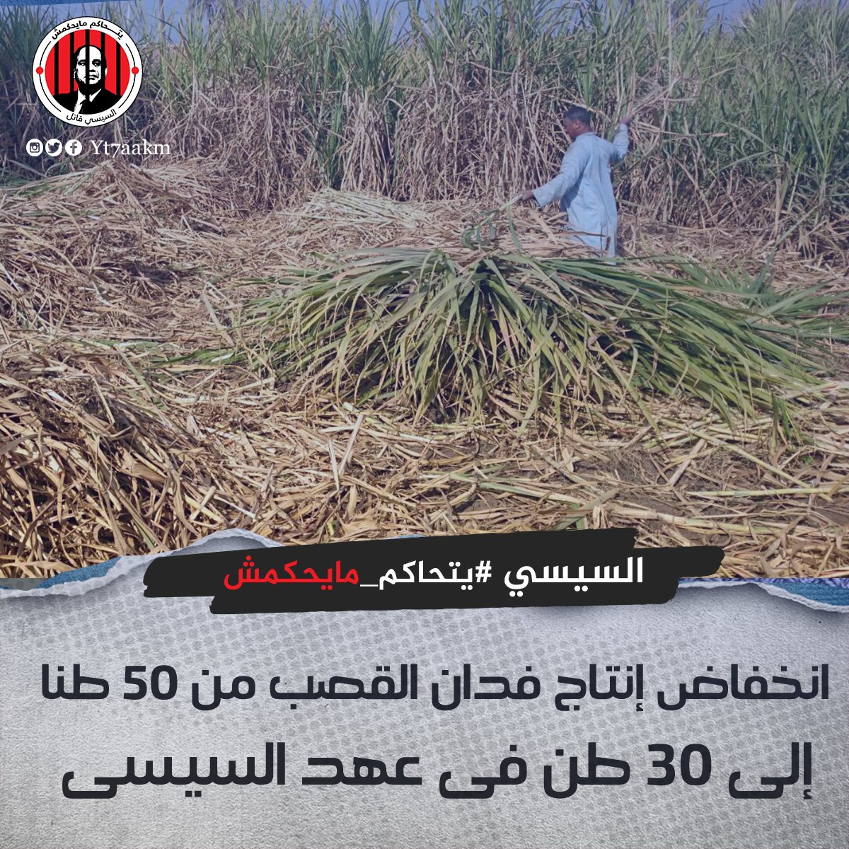 yt7aakm's tweet photo. السيسي عدو الفلاح 
انخفاض إنتاج فدان القصب من 50 طنا إلى 30 طن فى عهد السيسى

#يتحاكم_ميحكمش
#مش_نازل https://t.co/HCcKytQGK6