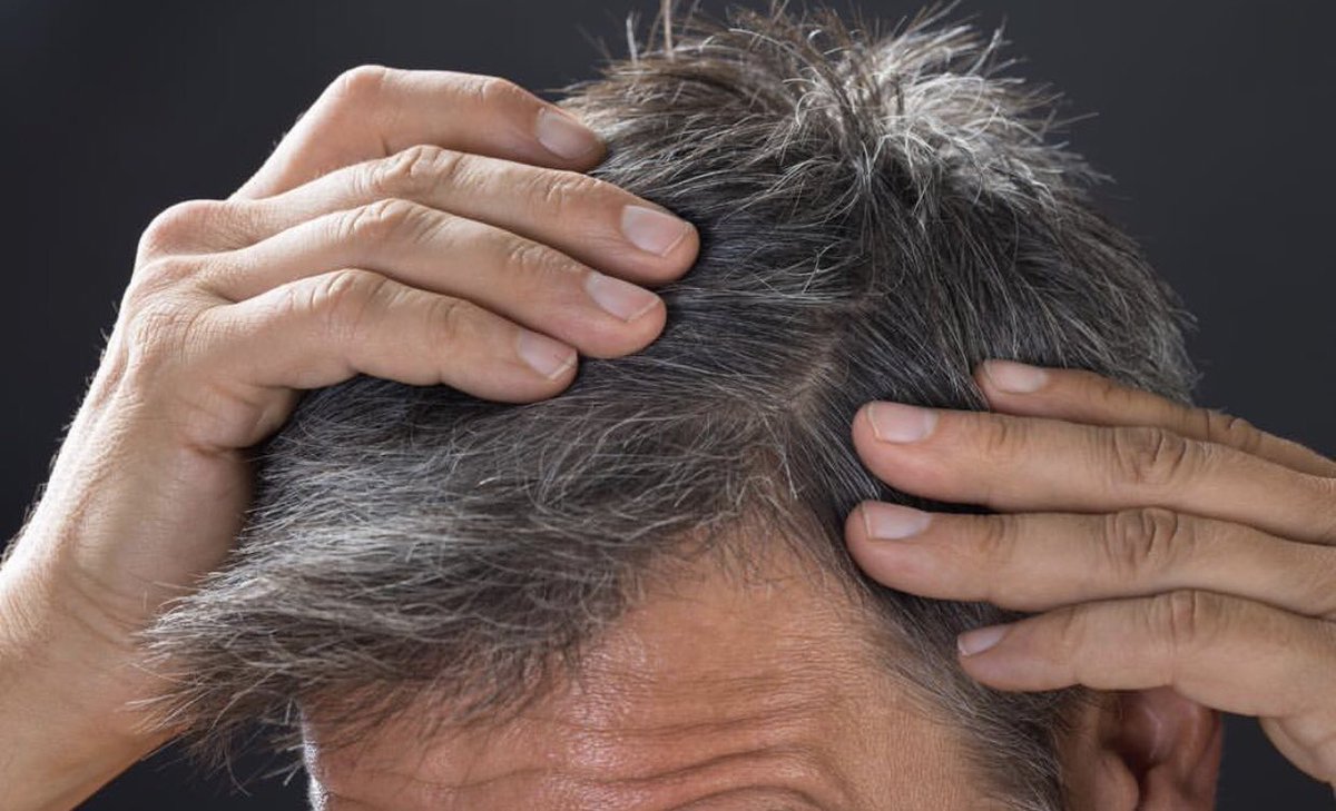 Touch Of Grey! Amonyak ve peroksit yerine havadaki oksijeni kullanarak saçlarınızdaki tüm beyazları yok etmeden azaltan devrim niteliğinde formül ile tanışın!