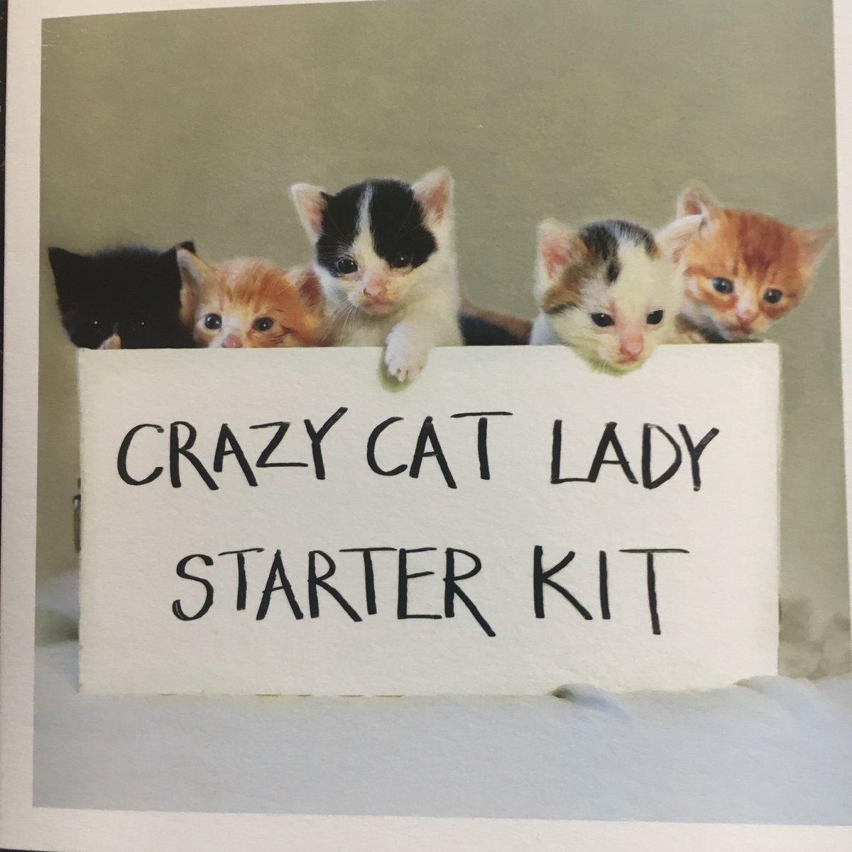 Not so sure my cousin will be happy with her birthday card, ah what the heck it’s posed now. #catlady