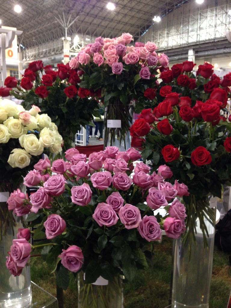 gagasgarden's tweet photo. “Good things are going to happen” when friends meet to talk #roses during @ChicagoFlower @doubletree. @GardenOpus asked about my @JacksonPerkins friends! It’s @AmericanRoseSoc Jon Cokern membership chair 1st on left, a stellar guy! #JacksonandPerkins #chicagoflower #myjproses https://t.co/TOpy20b20v
