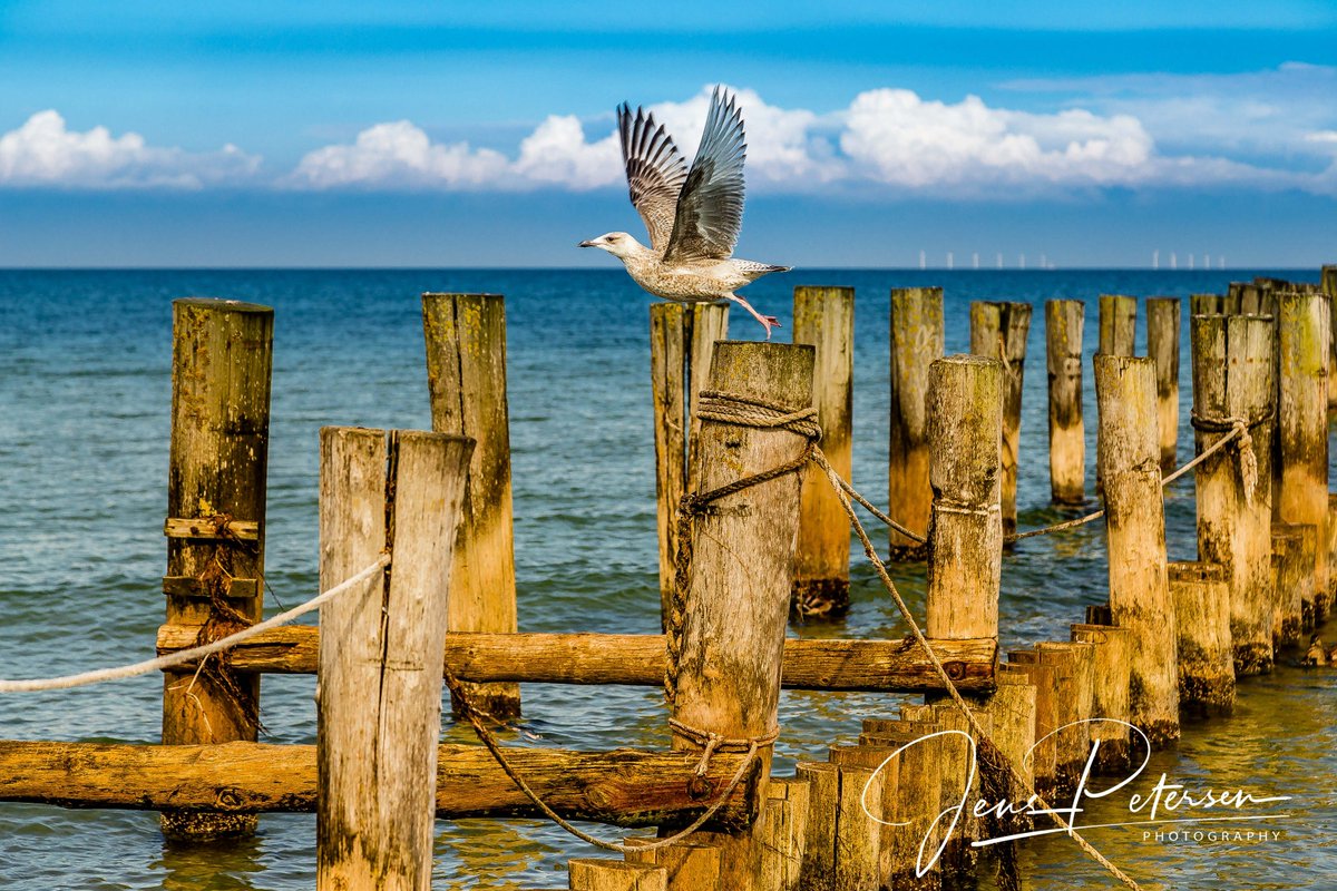 JayPee_Fotoblog's tweet photo. Beliebtes Fotomotiv am Strand von Zingst / Ostsee

#Zingst #Ostsee #FDZ #Strand https://t.co/cgQMmRD6MK