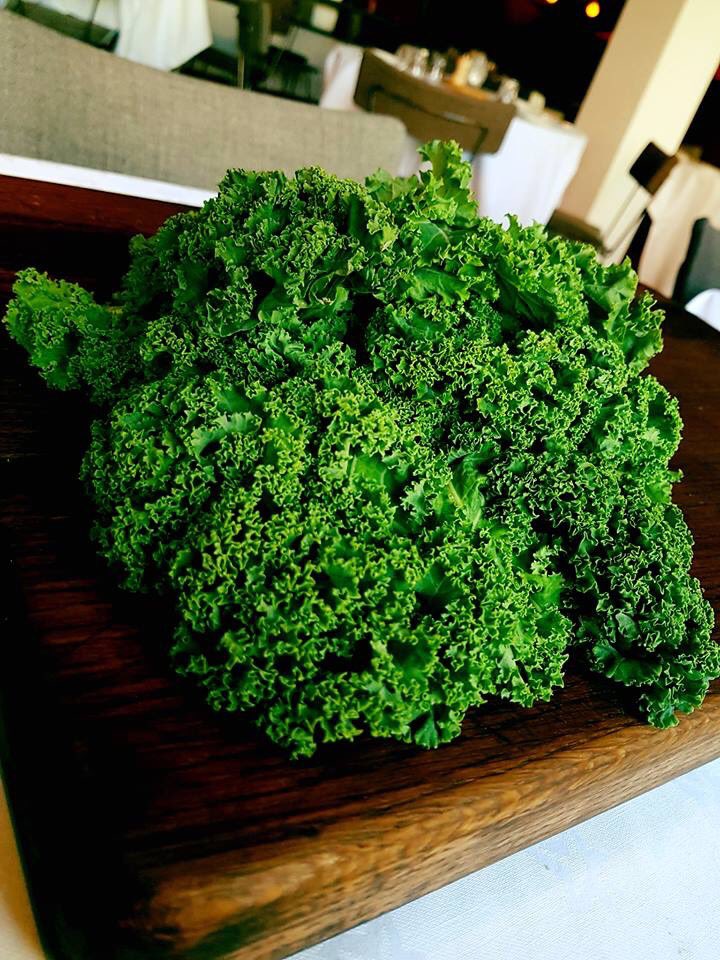 RachelsCork's tweet photo. Going green for St. Patrick's Day with some vibrant kale......Open all day today &amp; tomorrow from 12 noon- live music today at 4pm #StPatricksDay #CorkDining #Kale #GoingGreen https://t.co/DVyidSu0Cr