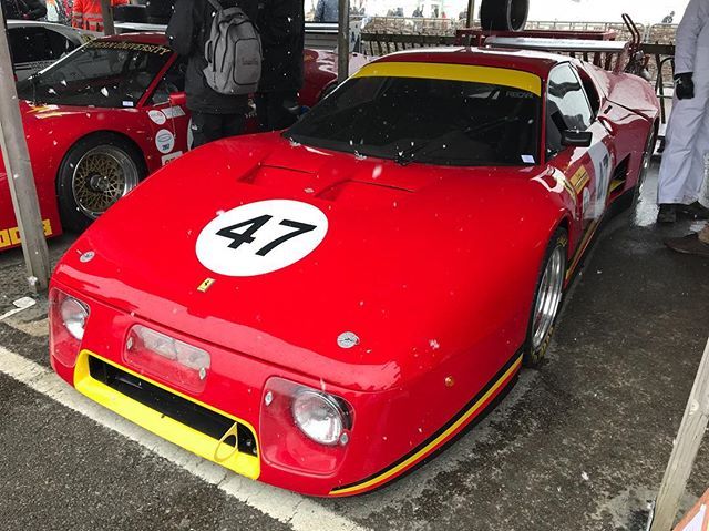 alexsmolik's tweet photo. The last ever built ! Very rare appearance... Ferrari 512 BBLM ! #76MM #Ferrari512BBLM #512BBlm #Ferrari #goodwood76mm #Goodwood #AlexDoes76MM #AlexDoesGoodwood https://t.co/1fCfXAGTgD https://t.co/cxDyT2mZno